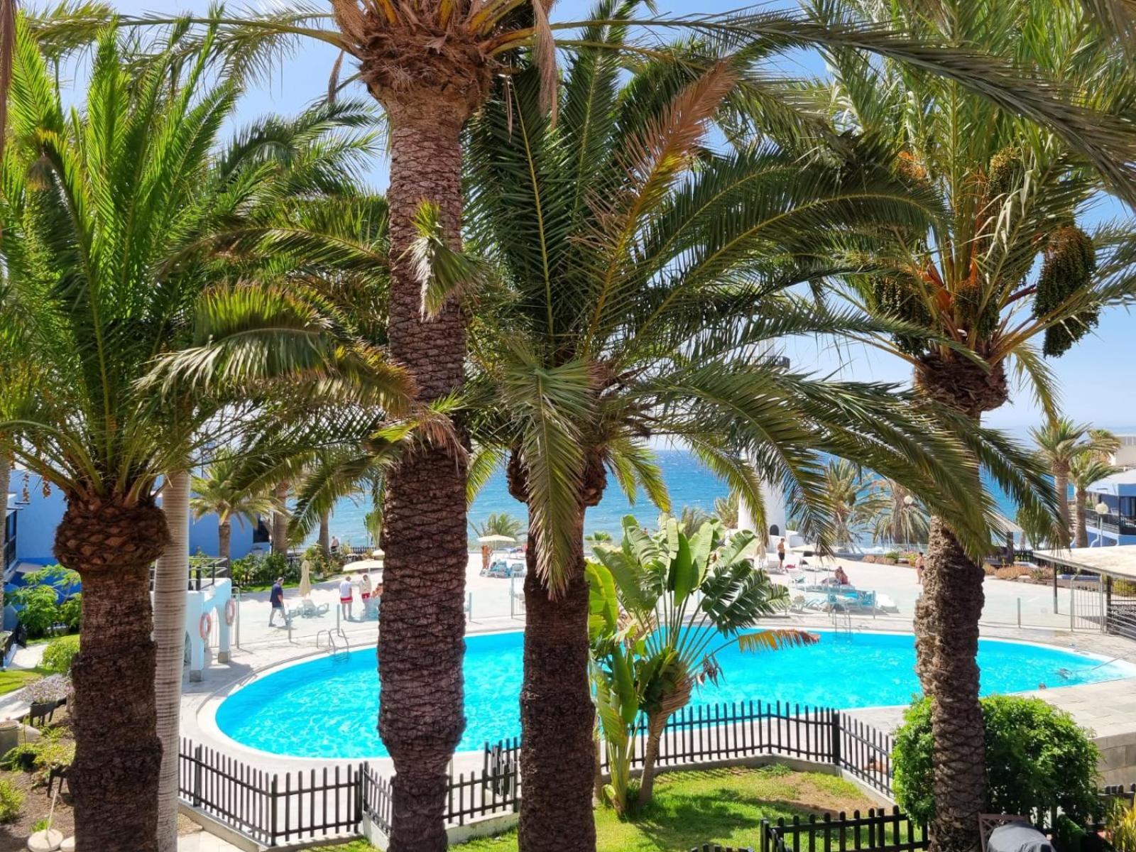 Top 2 Sun Club Bungalow Terraza Maspalomas (Gran Canaria) Exterior foto